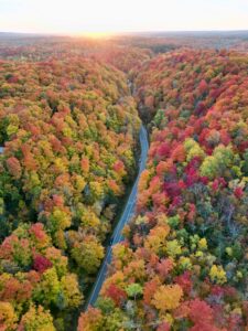 Acheter une maison dans les Laurentides, vue aérienne d'une forêt d'automne traversée par une route