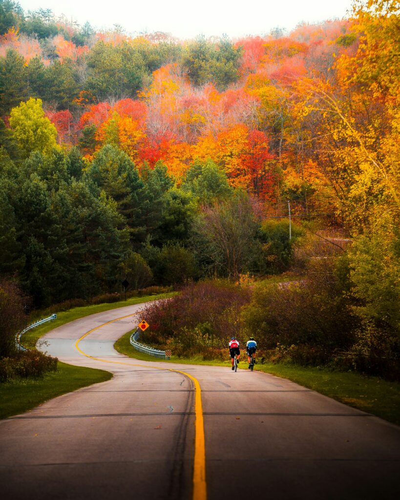 Cyclists on a road lined with autumn foliage in the Laurentians