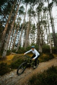 Quoi faire à Morin-Heights, cycliste de montagne sur un sentier en forêt l'été